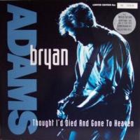 Thought Id Died and Gone to Heaven 1992 single by Bryan Adams