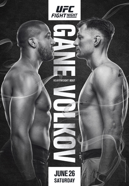 File:UFC Fight Night 190 poster.jpg