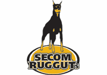 <span class="mw-page-title-main">Secom Rugguts</span> Rugby team