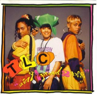 Aint 2 Proud 2 Beg 1991 single by TLC