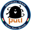 Official button of Team Puli GLXP Team Puli.jpg