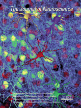 File:Journal of Neuroscience.gif