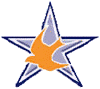 Silver Star Feiertage logo.png