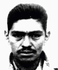 Che Guevara in fashion - Wikipedia