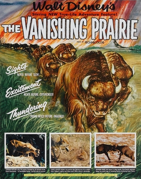 <i>The Vanishing Prairie</i> 1954 documentary film directed by James Algar