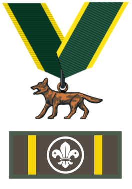 <span class="mw-page-title-main">Bronze Wolf Award</span> The highest award in Scouting