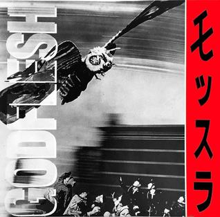<span class="mw-page-title-main">Mothra (song)</span> Song by Godflesh