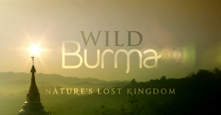 File:Wild Burma.png