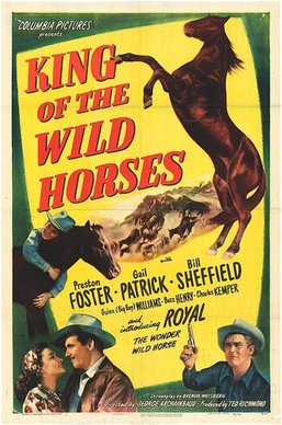 <i>King of the Wild Horses</i> (1947 film) 1947 film directed by George Archainbaud