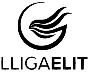 <span class="mw-page-title-main">Lliga Elit</span> Football league