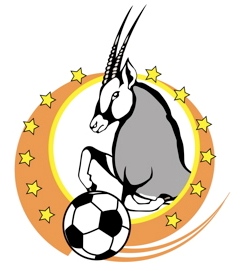 Namibia Premier League association football league