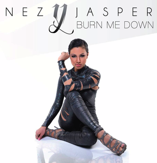 <i>Burn Me Down</i> (album) 2013 studio album by Inez Jasper