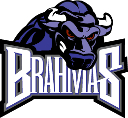 <span class="mw-page-title-main">Texas Jr. Brahmas</span> Ice hockey team in North Richland Hills, Texas