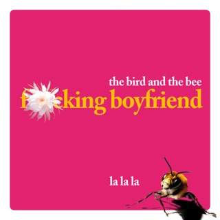 Fucking Boyfriend 2006 single by The Bird and the Bee