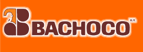 File:Bachocologo.png