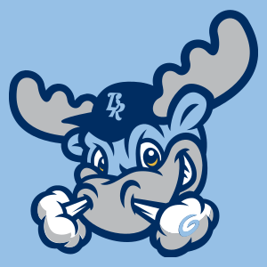 <span class="mw-page-title-main">Wilmington Blue Rocks</span> Minor league baseball team