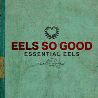 <i>Eels So Good: Essential Eels, Vol. 2 (2007–2020)</i> 2023 greatest hits album by Eels