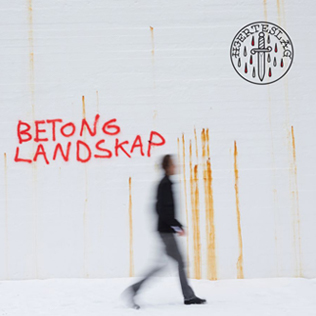 <i>Betonglandskap</i> 2024 studio album by Hjerteslag