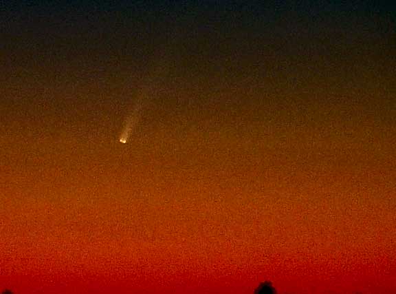 File:Comet-McNaught.jpg