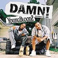 <span class="mw-page-title-main">Damn! (song)</span> 2003 single by YoungBloodZ