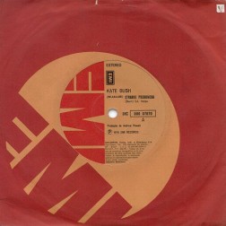 <span class="mw-page-title-main">Strange Phenomena (song)</span> 1979 single by Kate Bush
