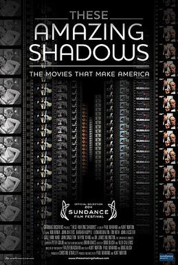 <i>These Amazing Shadows</i> 2011 American film