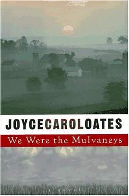 <i>We Were the Mulvaneys</i> 1996 novel by Joyce Carol Oates