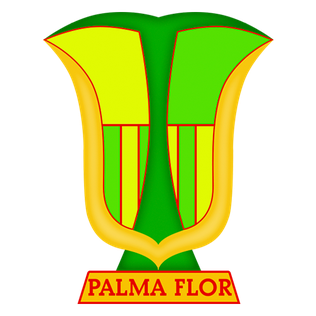 File:Atlético Palmaflor.png