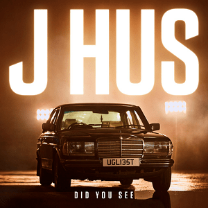 <span class="mw-page-title-main">Did You See (song)</span> 2017 single by J Hus