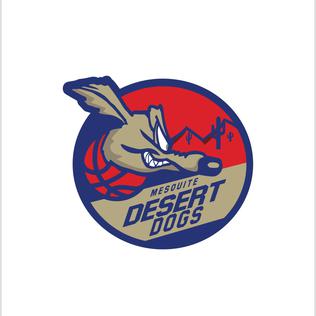 <span class="mw-page-title-main">Mesquite Desert Dogs</span> Former American professional basketball team