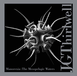 <i>The Mesopelagic Waters</i> 2010 studio album by Manorexia