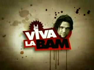 <i>Viva La Bam</i> television series