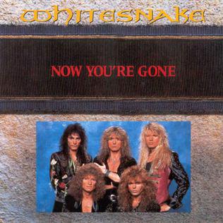 Now Youre Gone (Whitesnake song) 1990 single by Whitesnake