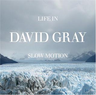 <i>Life in Slow Motion</i> album by David Gray