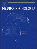 Neuropsychologia.gif