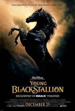 <i>The Young Black Stallion</i> 2003 film by Simon Wincer