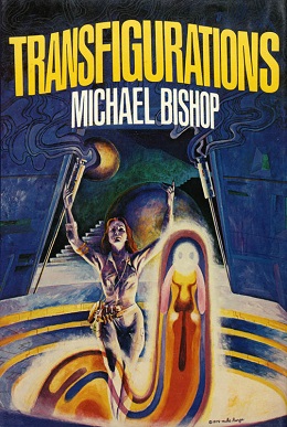 File:Transfigurations (novel).jpg