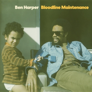 <i>Bloodline Maintenance</i> 2022 studio album by Ben Harper