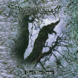 File:Borknagar-The Olden Domain.jpg