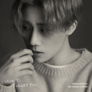 <i>Wont Forget You</i> (single album) Single album by Kim Sung-kyu