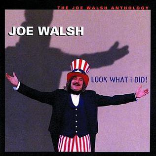 PLAYLISTS 2021 Look_What_I_Did_album_cover_by_Joe_Walsh