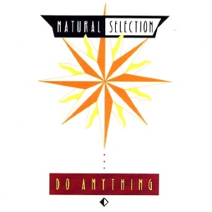 <span class="mw-page-title-main">Do Anything (song)</span> 1991 single by Natural Selection