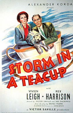 <i>Storm in a Teacup</i> (film) 1937 film