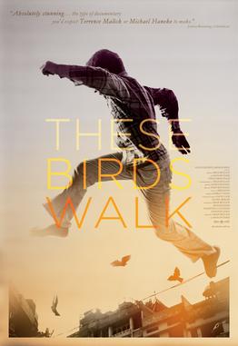 <i>These Birds Walk</i> 2013 American film