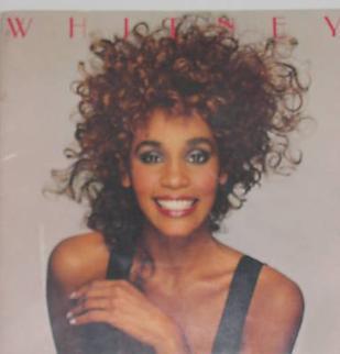 <span class="mw-page-title-main">Moment of Truth World Tour</span> 1987–88 concert tour by Whitney Houston
