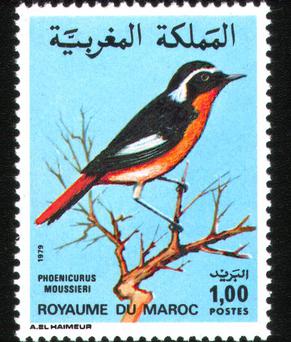 <span class="mw-page-title-main">Postage stamps and postal history of Morocco</span>