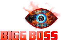 <i>Bigg Boss</i> (Hindi TV series) season 13 Season of television series