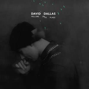 <i>Falling into Place</i> (David Dallas album) 2013 studio album by David Dallas