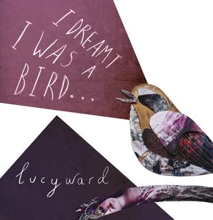 <i>I Dreamt I Was a Bird</i> 2015 studio album by Lucy Ward