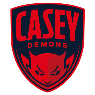 <span class="mw-page-title-main">Casey Demons</span> Australian rules football club